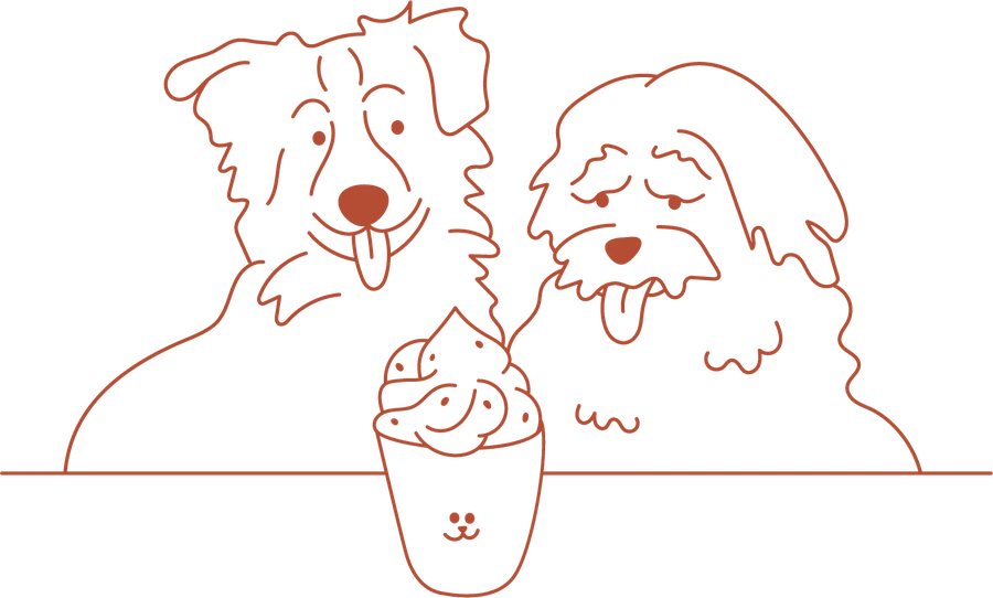 Illustration : deux chiens partagent un puppycino