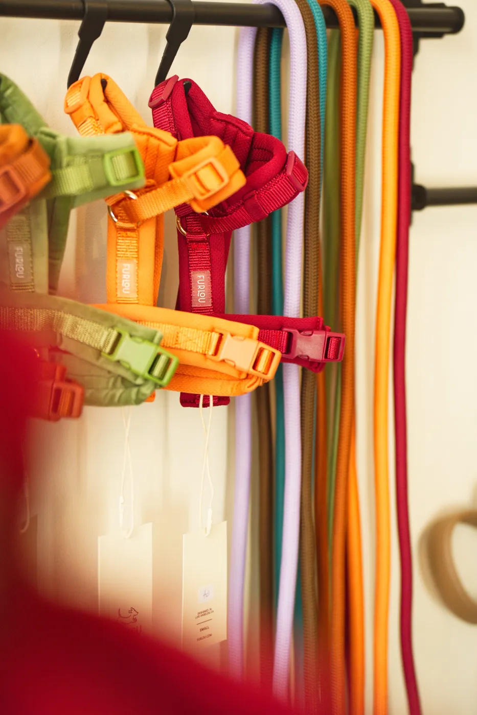 Harnais et laisses colorés en boutique
