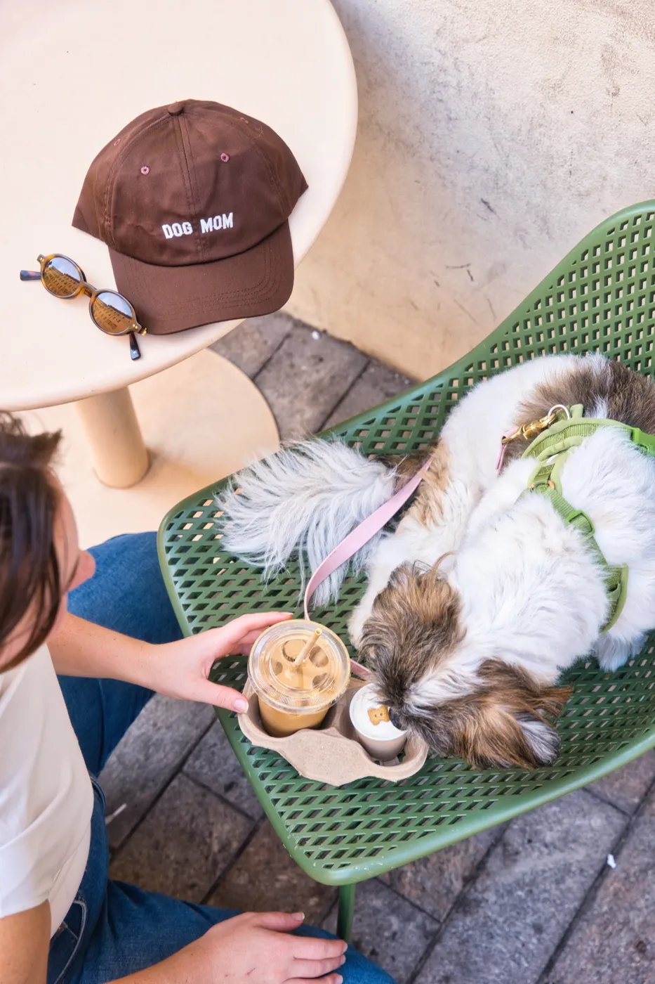 Un chien savoure sa pup cup en terrasse
